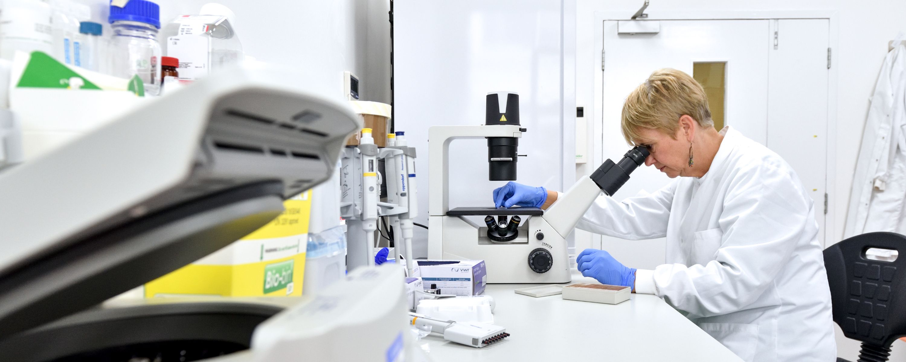 Professor Jane Davies in the laboratory