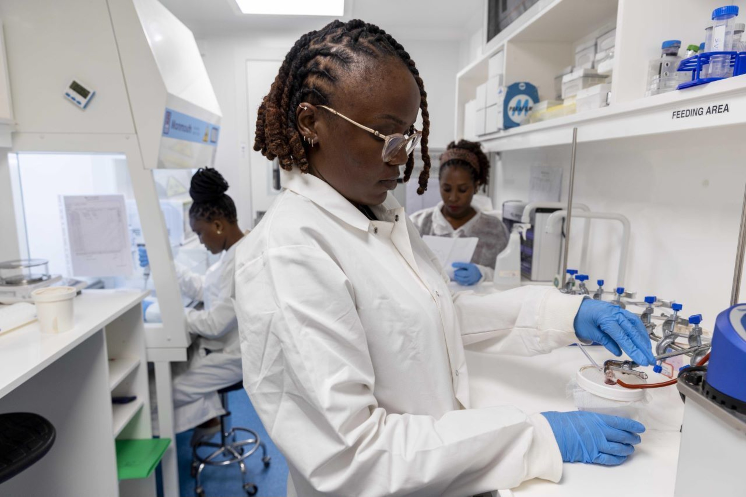 Researchers in Tanzania working on genetically modified mosquitoes for the Transmission Zero research project.