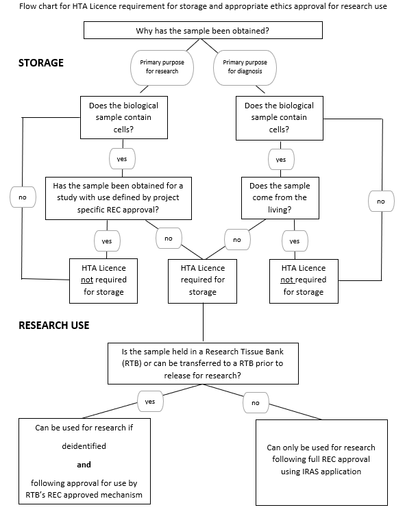 Flowchart explaining HTA Licence requirement for storage and appropriate ethics approval for research use