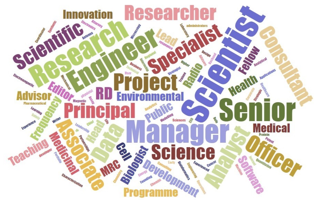 a word cloud of job titles