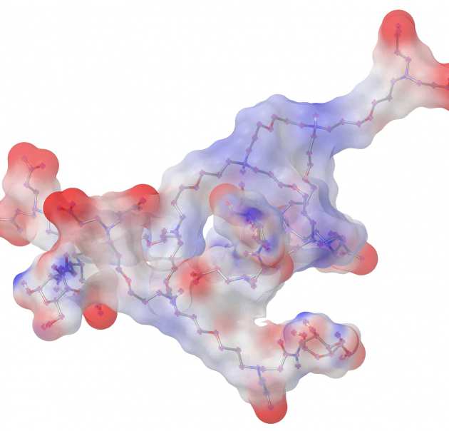 Infection model