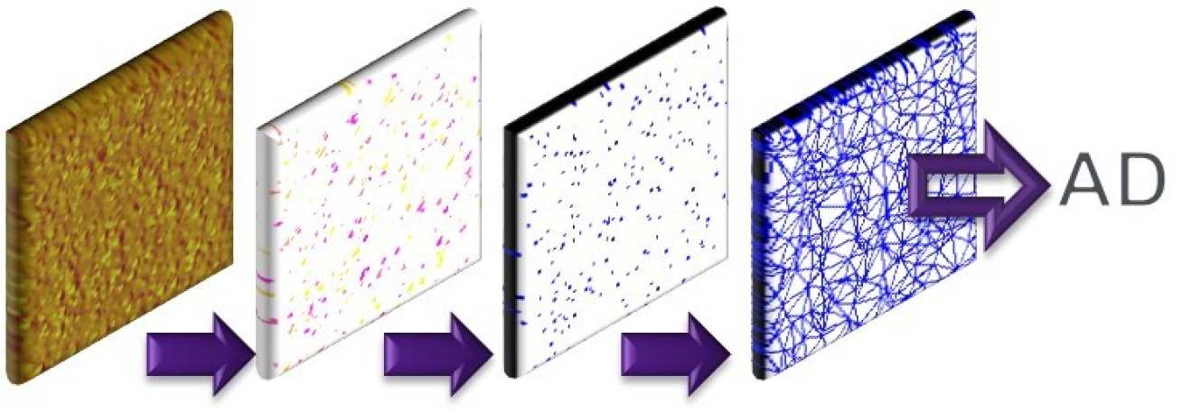 Methodology for quantifying the dispersion of particles; atomic force microscope image, identify particles, find particle centres, generate network, calculate area disorder