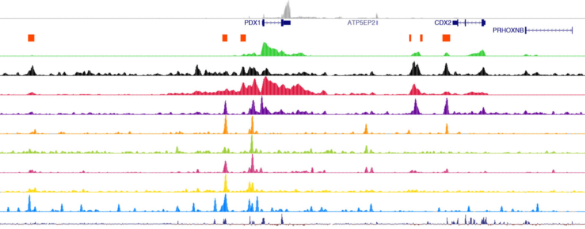 ChIP-seq