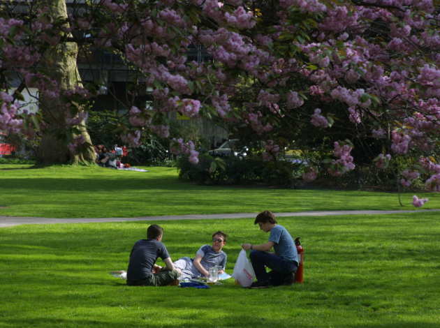 Students relaxing on grass