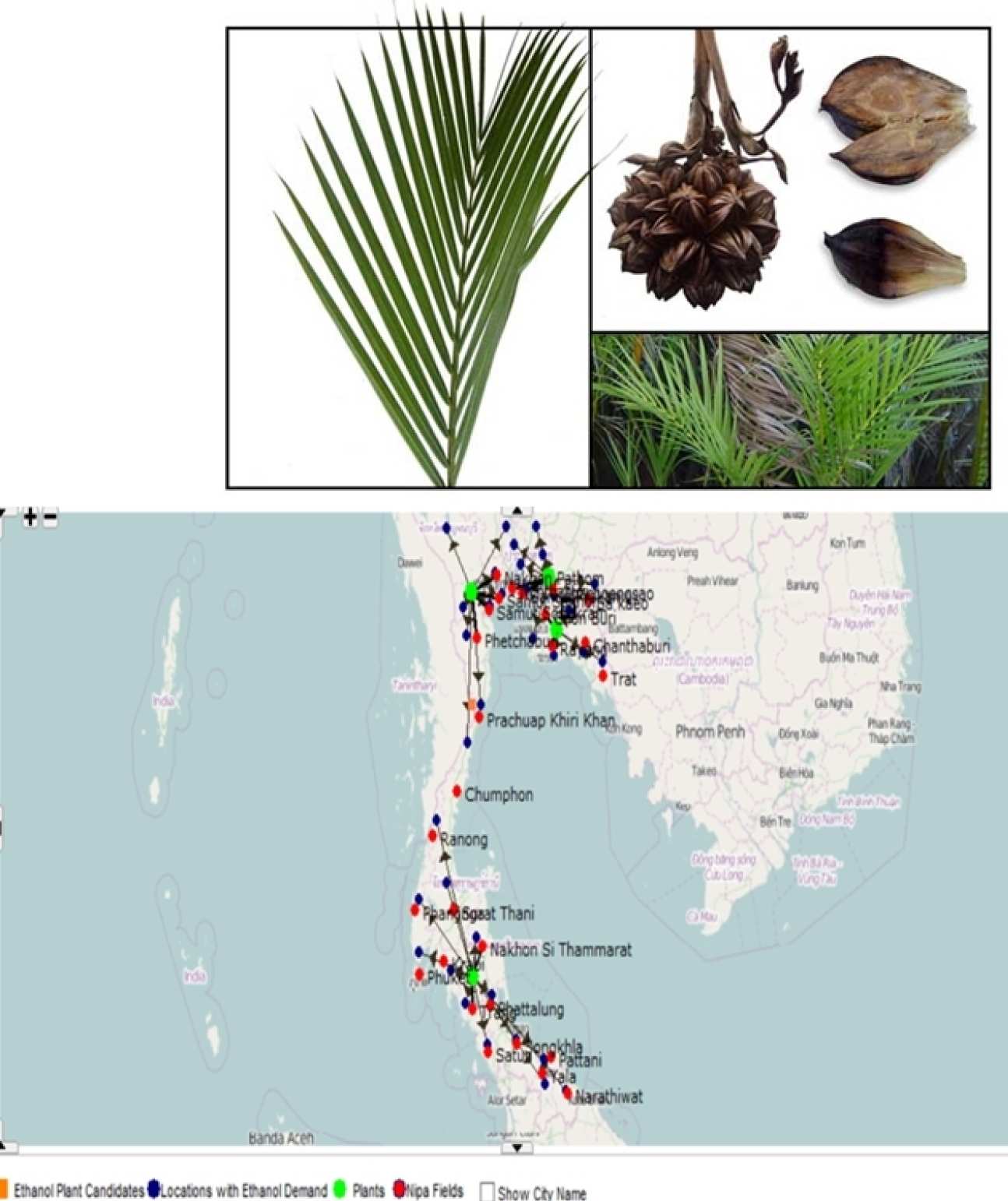 Thailand bioethanol