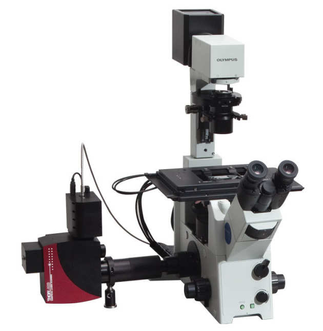 UV Confocal Laser Scanner Fluorescence System, Thorlabs